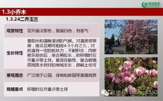 绿城集团园林软景苗木图谱,非常全面,值得借鉴 收藏